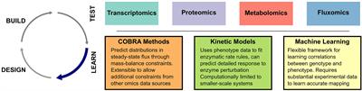 Approaches to Computational Strain Design in the Multiomics Era